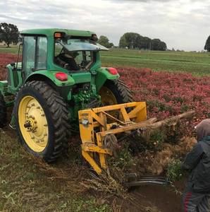 Meet your Posher, J hernández